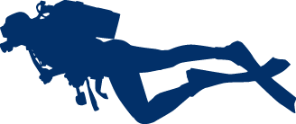 杏彩体育官方网站