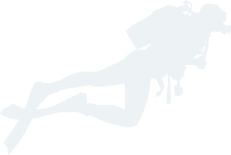 杏彩体育官方网站