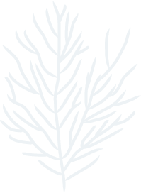 杏彩体育官方网站