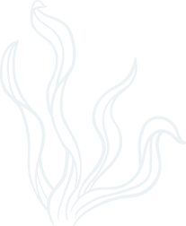 杏彩体育官方网站